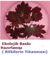 ekobsk3