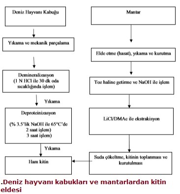 ketin01