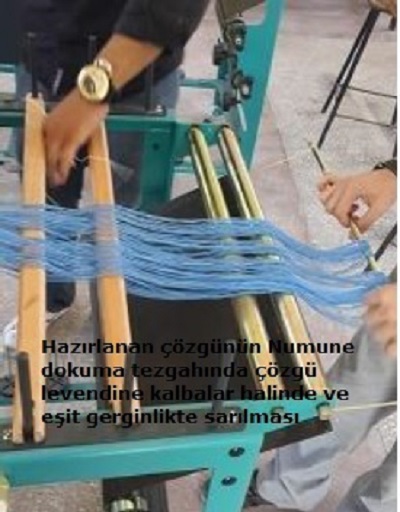 numdok55