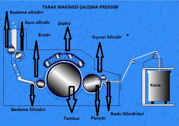pmtar11